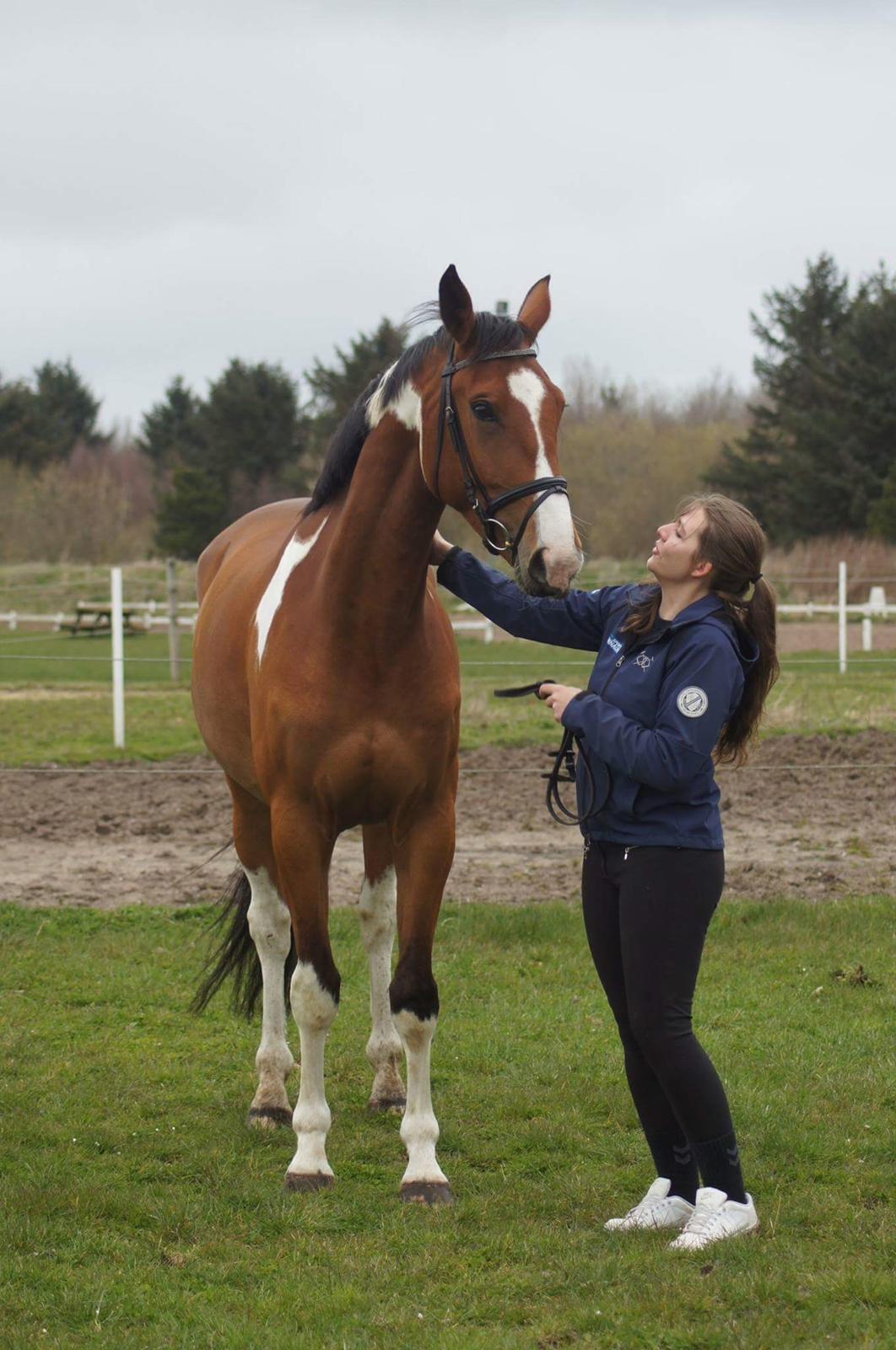 Anden særlig race Filur billede 8