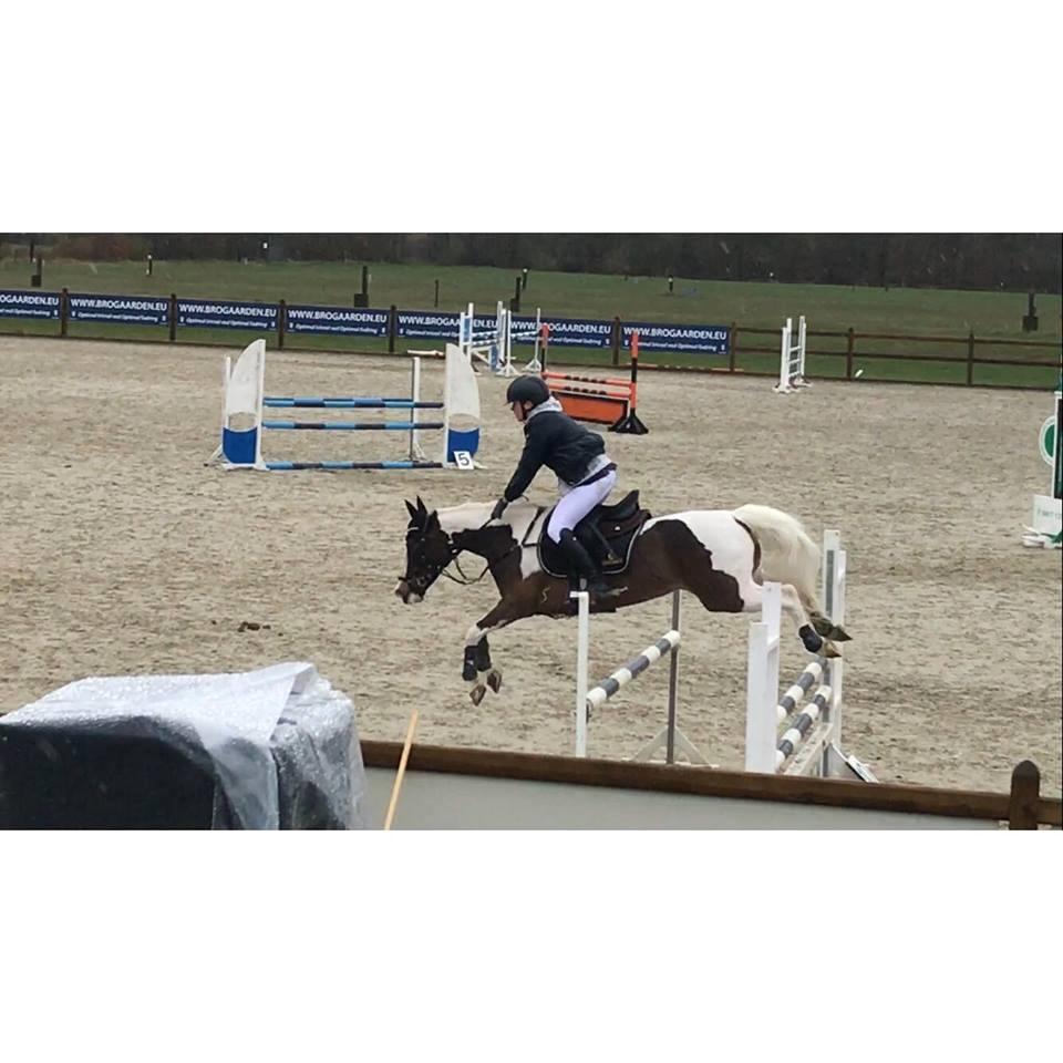 DSP Lady Ammador<3 - B-PONY - MB**, Hjallerup april 2017 , en enkelt bom på sidste spring billede 9