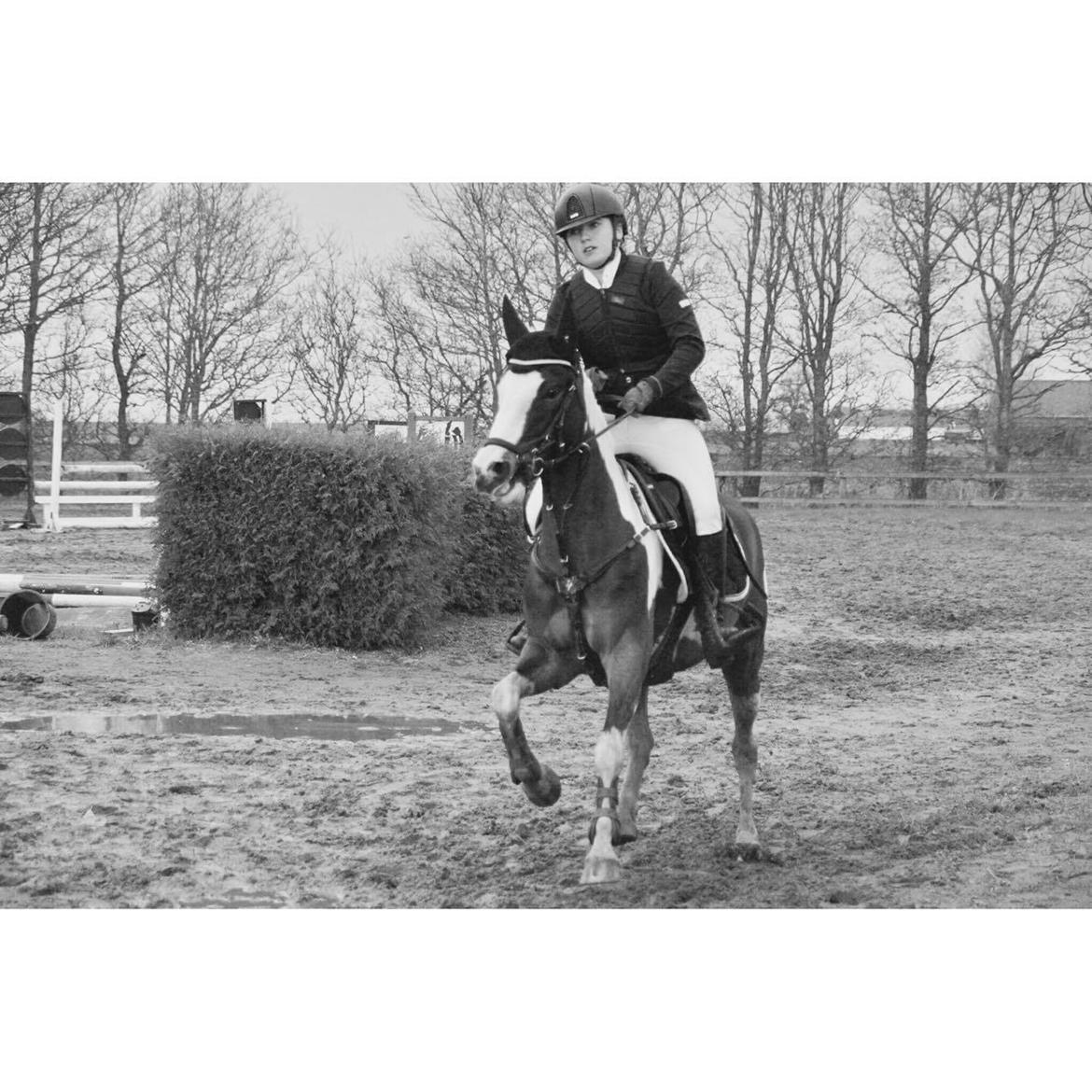 DSP Lady Ammador<3 - B-PONY - Hun gør altid ens dag bedre<3 billede 6