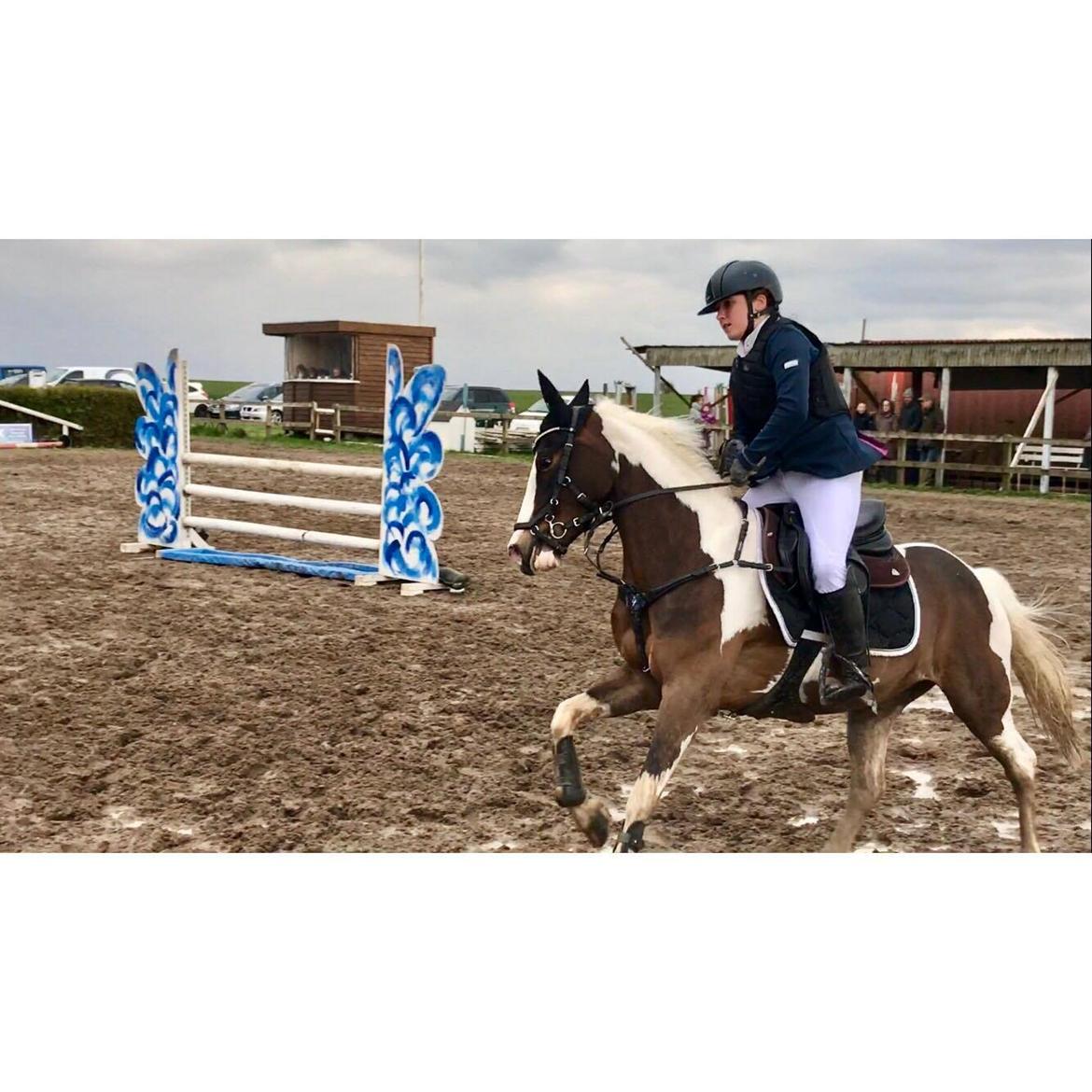 DSP Lady Ammador<3 - B-PONY - Man kommer altid i mål på denne stjerne<3 billede 13