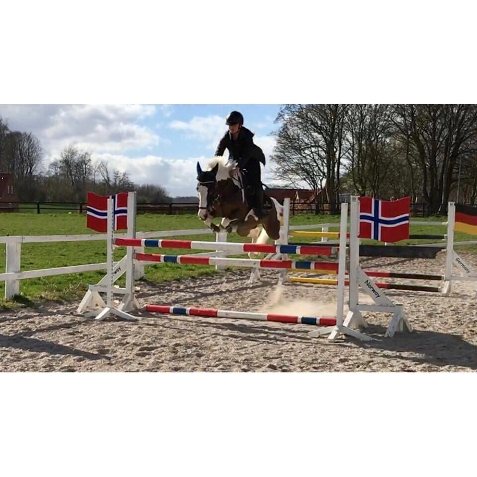 DSP Lady Ammador<3 - B-PONY - Nemt ved 115-120cm. baner<3 April 2017 billede 15