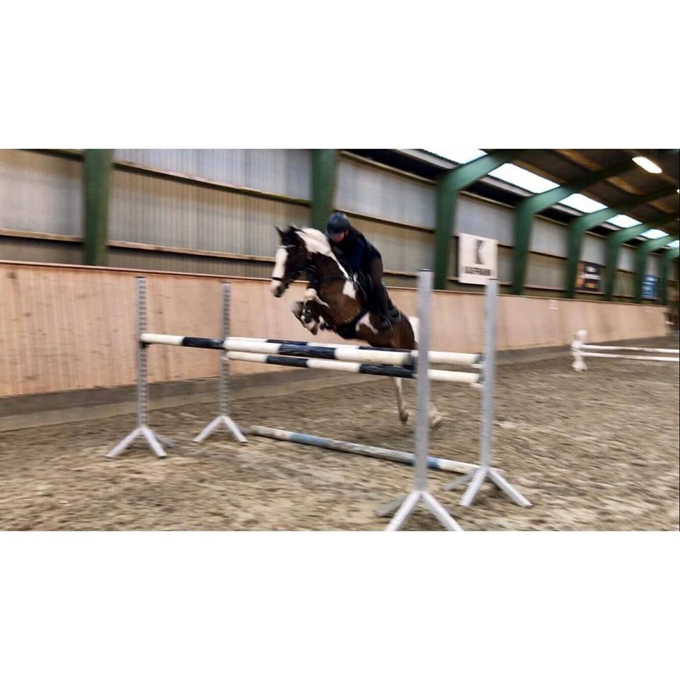 DSP Lady Ammador<3 - B-PONY - 120+  billede 7