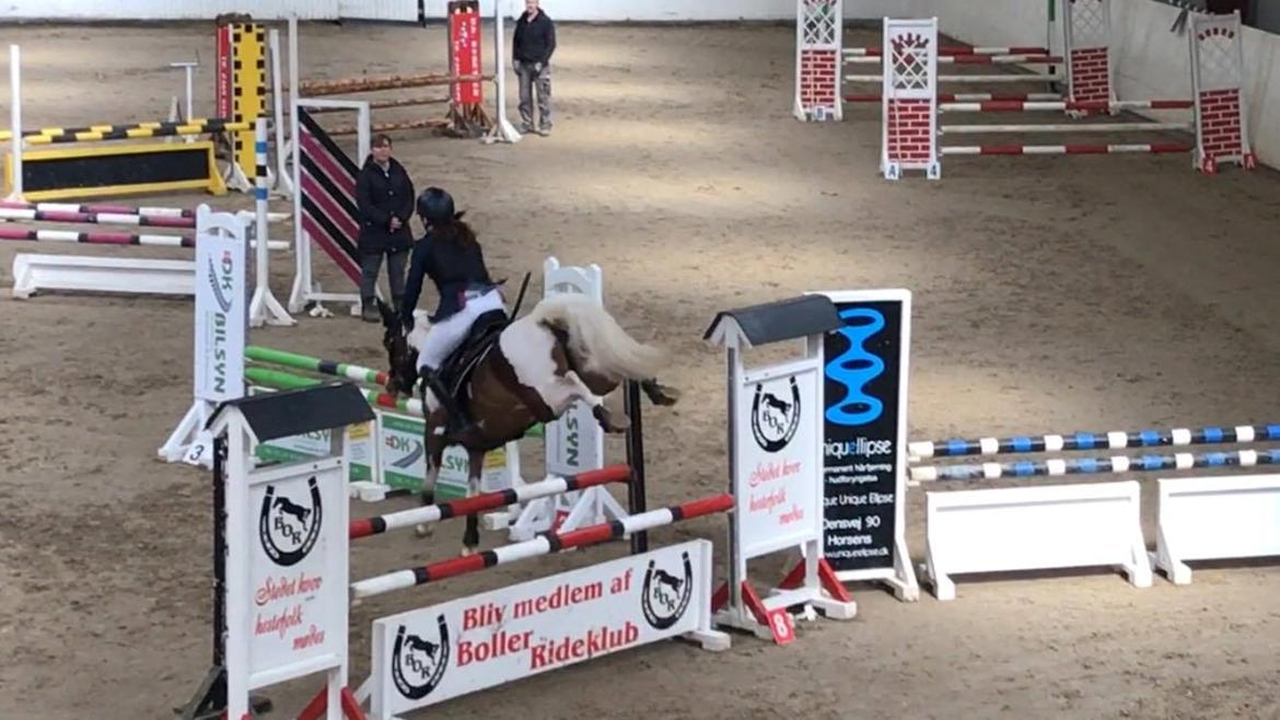 DSP Lady Ammador<3 - B-PONY - LA** er for lavt i følge Ammador ;D  billede 3