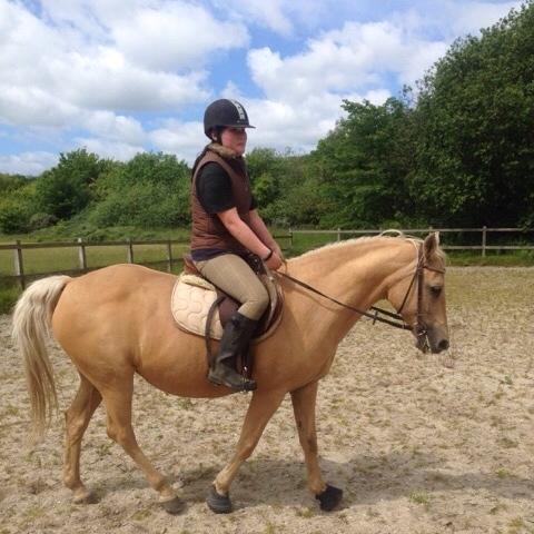 New Forest Nellie (Rain) billede 4