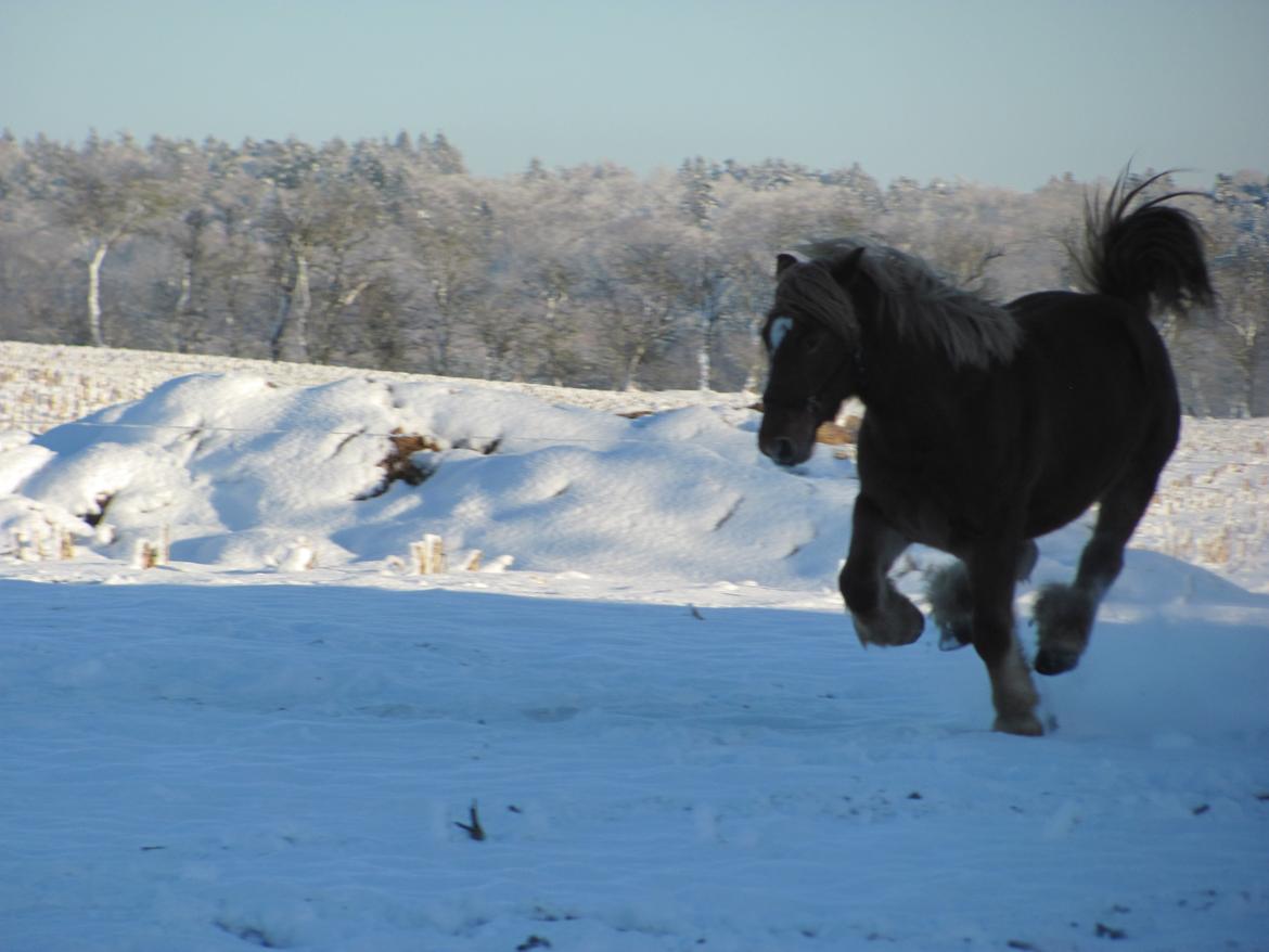 Jyde Katrine billede 14