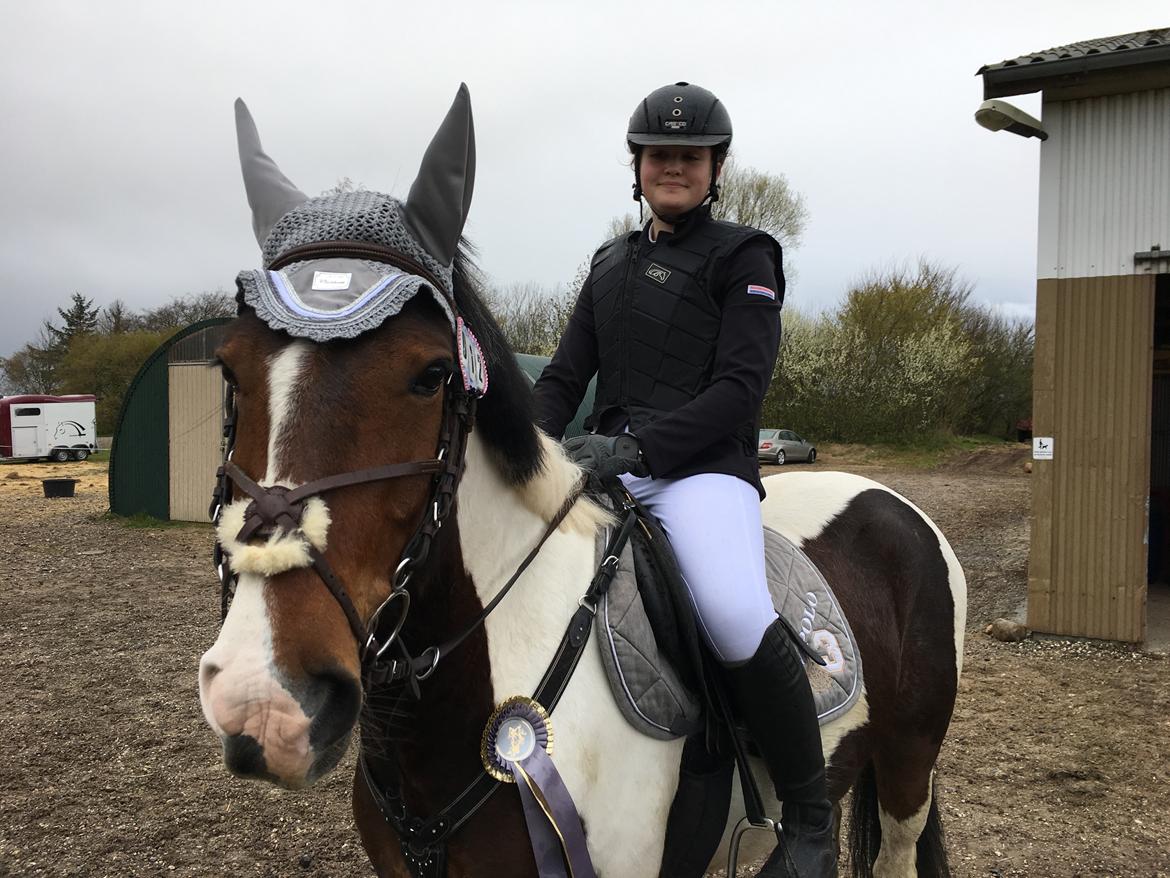 Anden særlig race Huxi  tidl. Lånepony - Fejlfri i 80 cm<3 billede 5