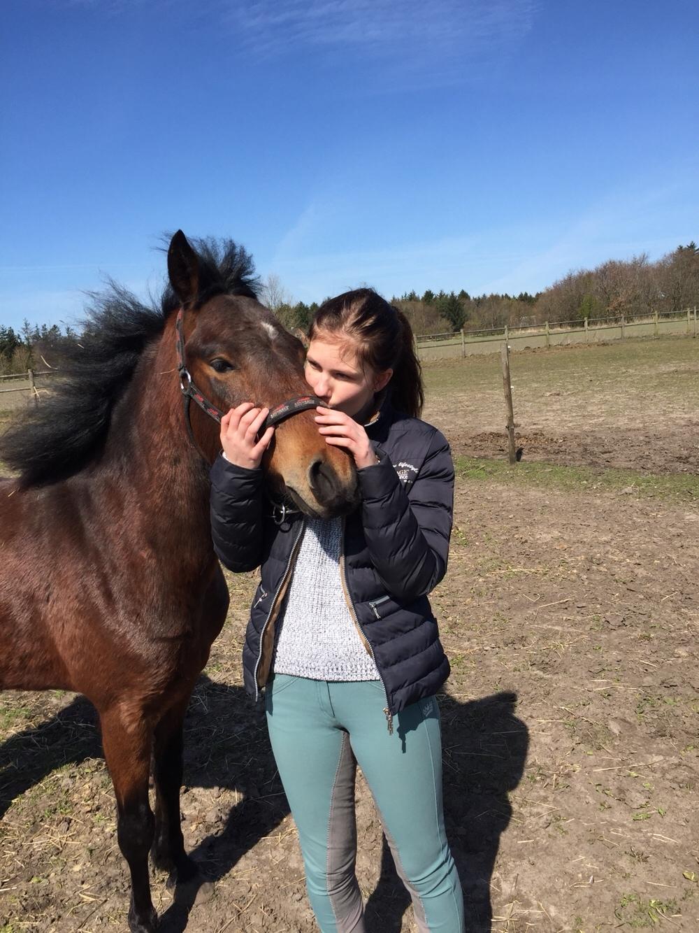 New Forest Spangsbo's Starlight - Pys og kram på folden <3 billede 11