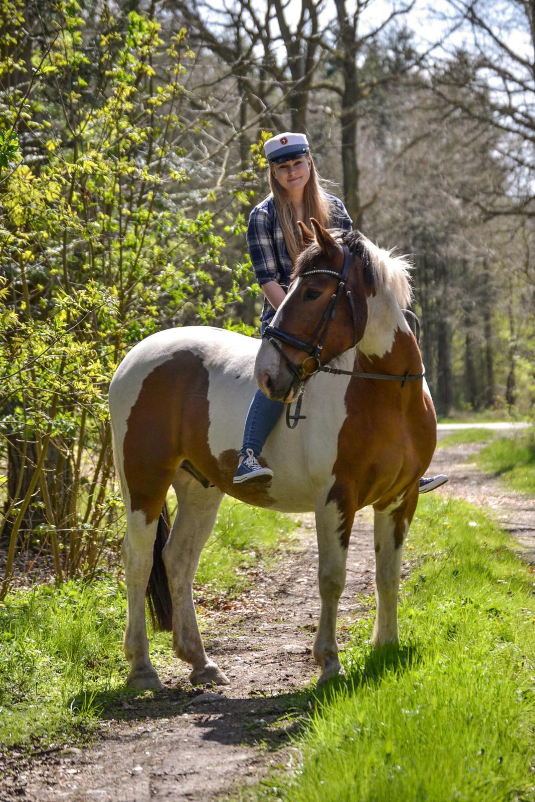 Anden særlig race Buller - (Holmgren Photo) billede 9