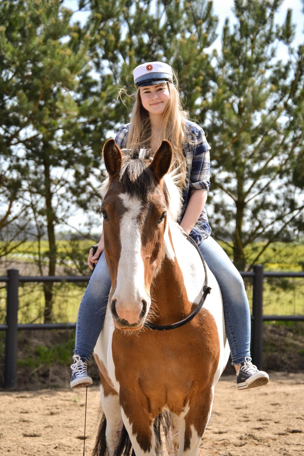 Anden særlig race Buller - (Holmgren Photo) billede 8