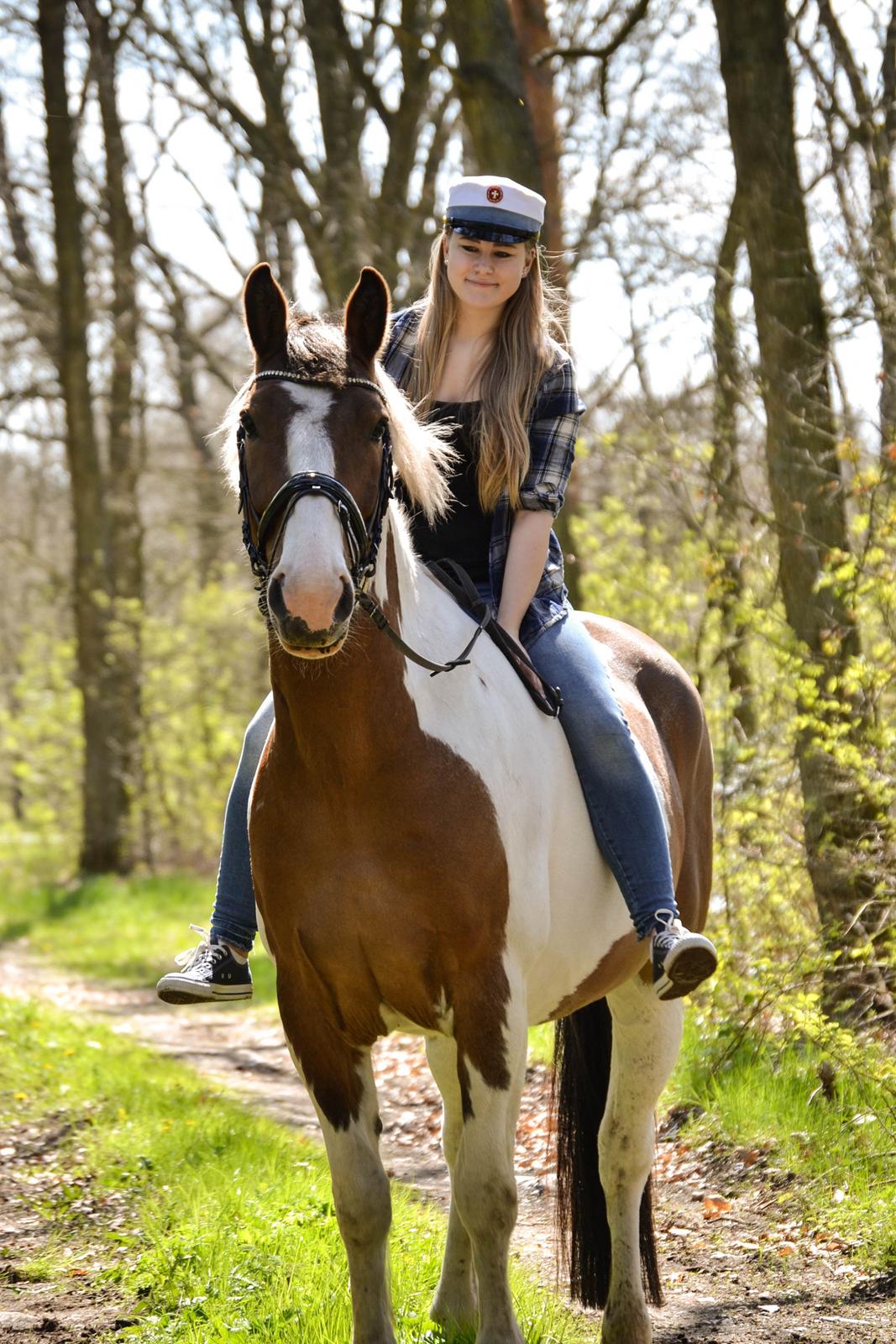 Anden særlig race Buller - (Holmgren Photo) billede 10