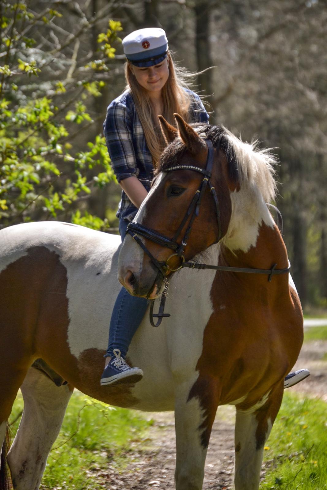 Anden særlig race Buller - (Holmgren Photo) billede 11