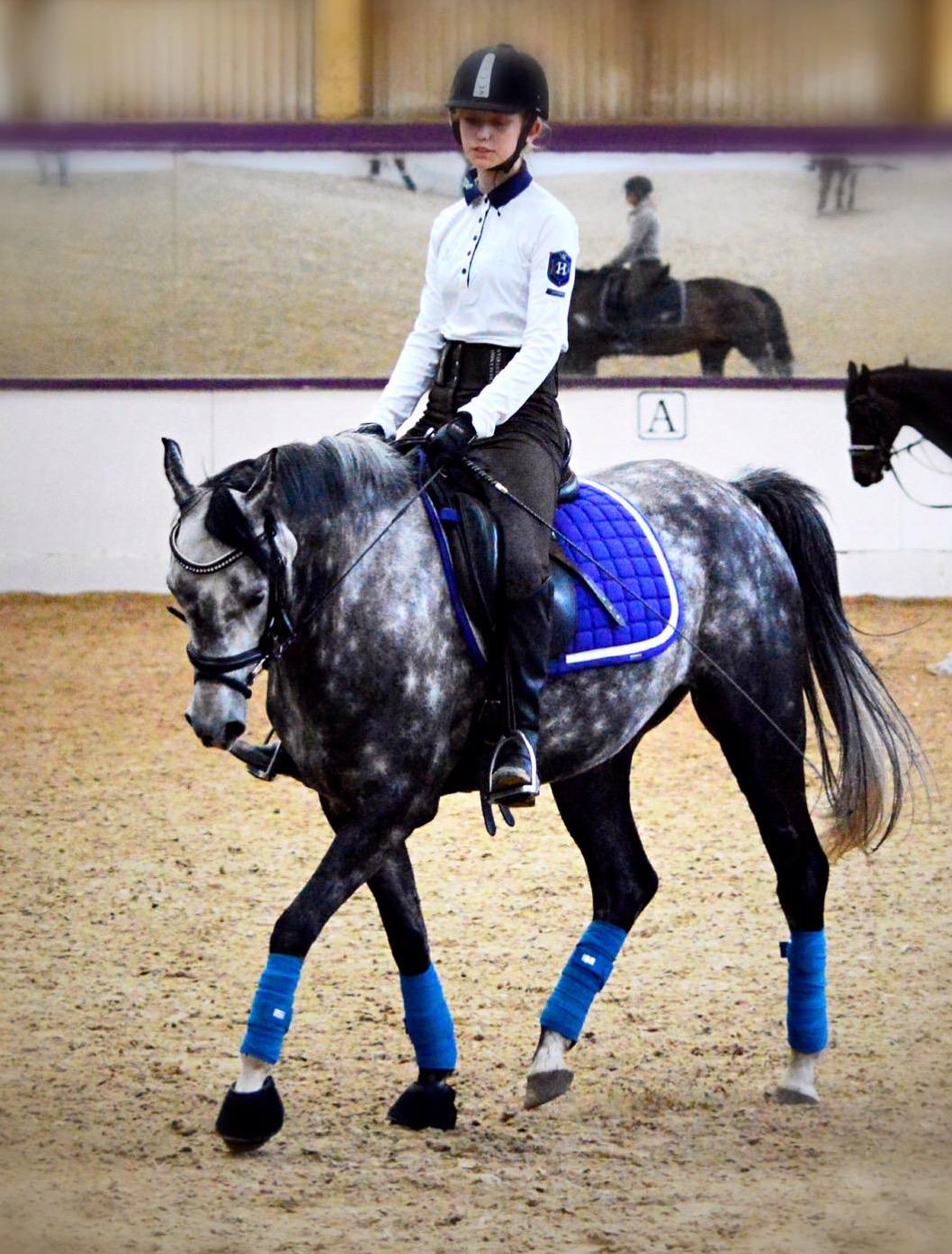 DSP Søgaards Magic Moon billede 3