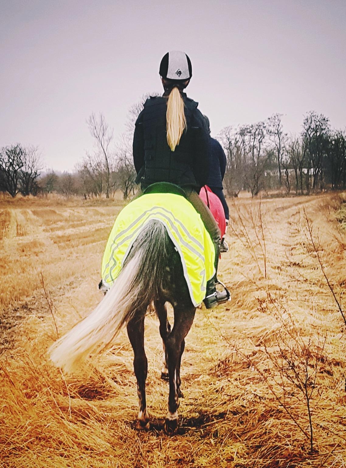 DSP Søgaards Magic Moon billede 7