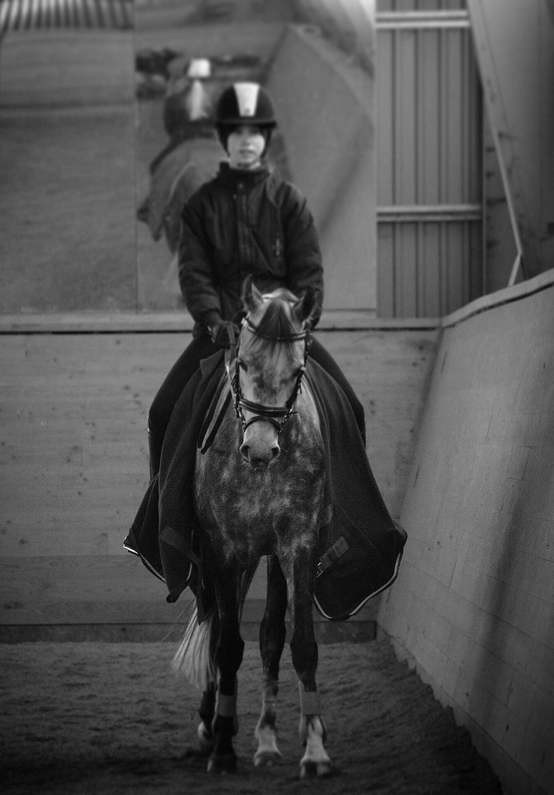 DSP Søgaards Magic Moon billede 6