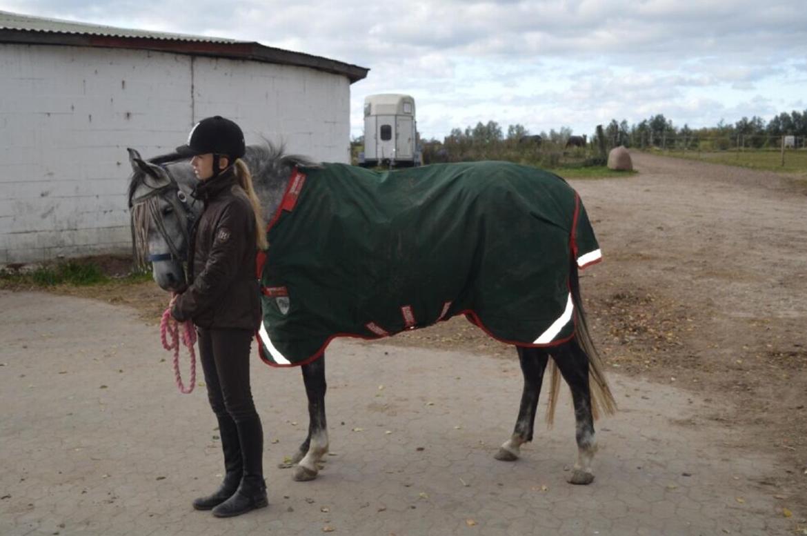 DSP Søgaards Magic Moon billede 15