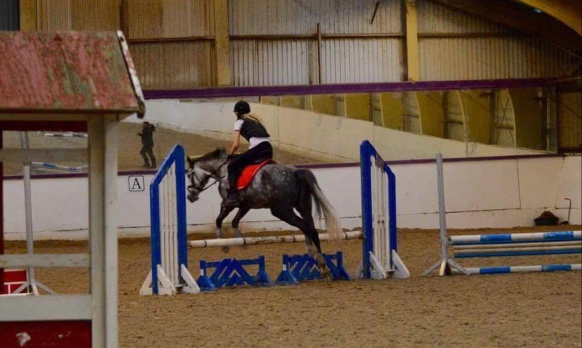 DSP Søgaards Magic Moon billede 14