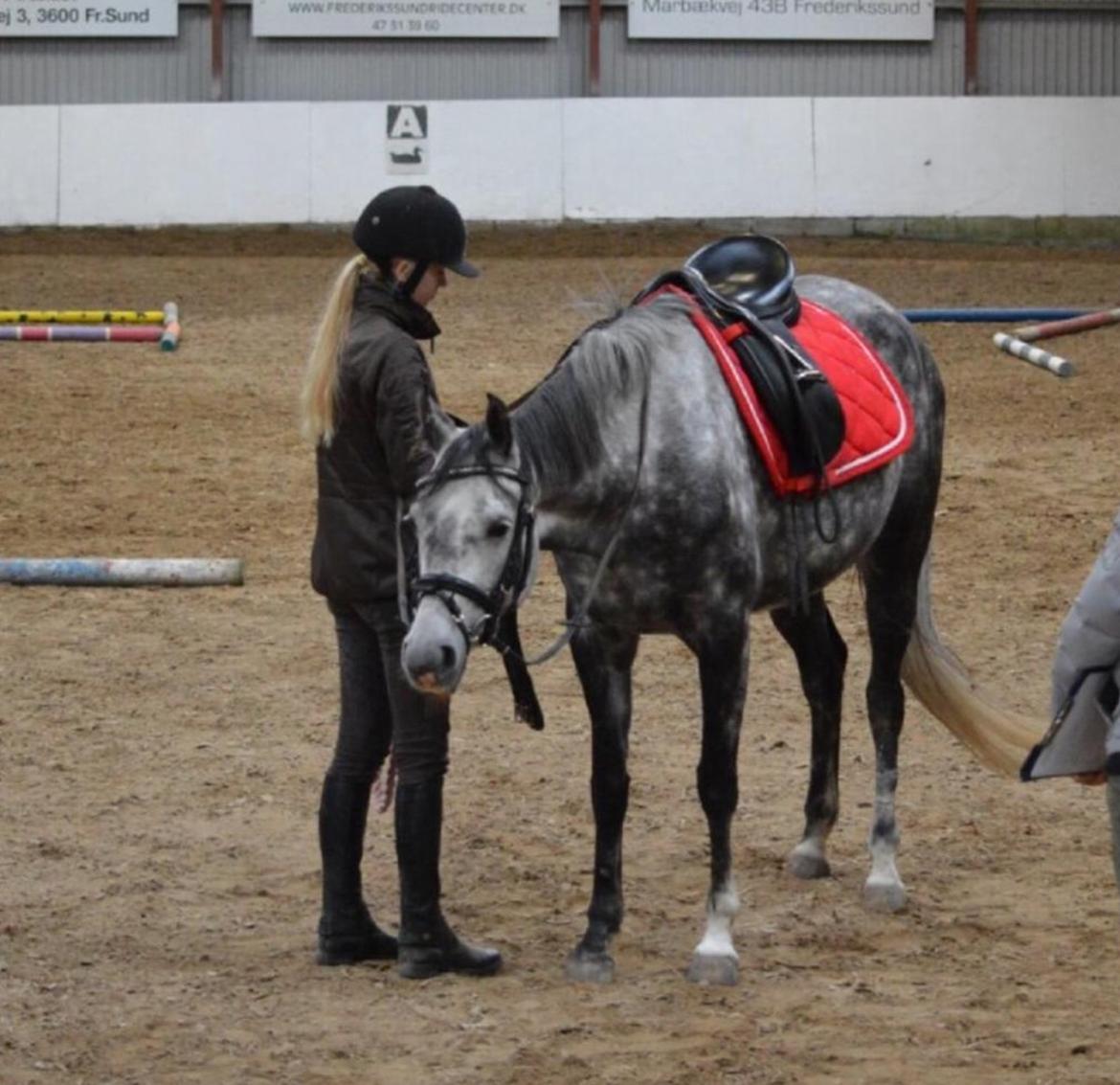 DSP Søgaards Magic Moon billede 17