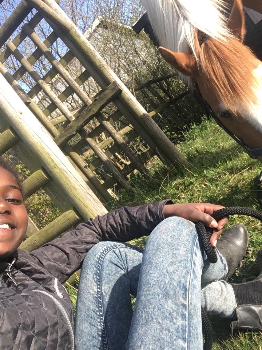 Anden særlig race Smukke Lille Luna billede 3