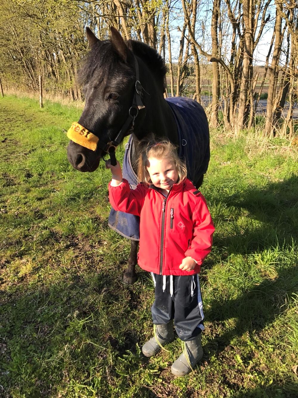 Anden særlig race Felix billede 2