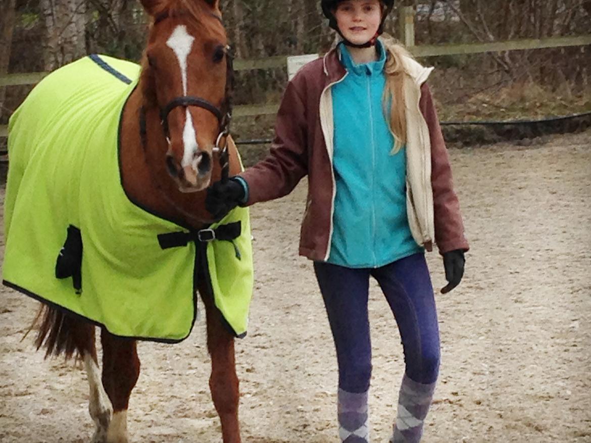 Anden særlig race Alia von hoff billede 11