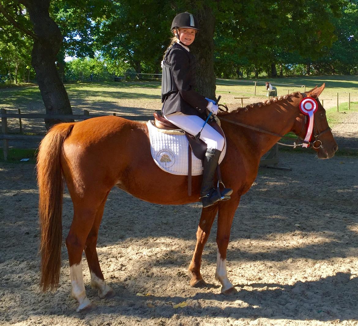 Anden særlig race Alia von hoff billede 8