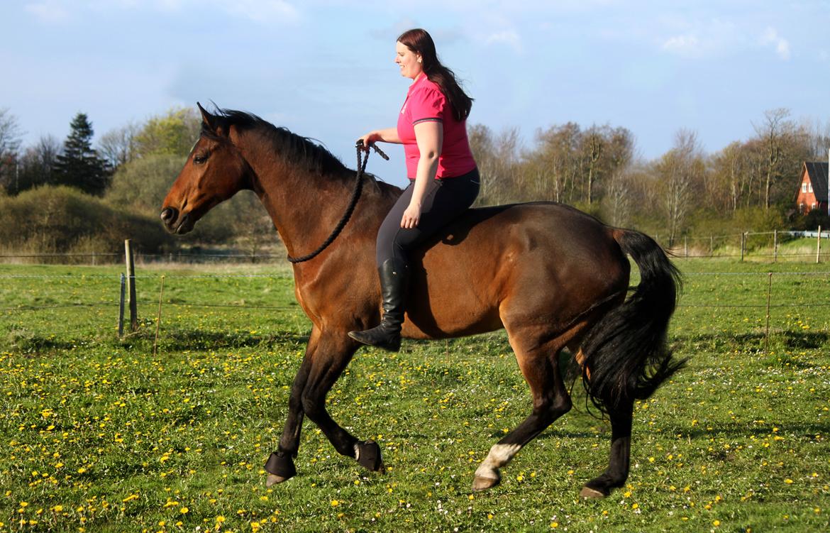 Anden særlig race Dalvangs Casper - Min stjerne, min kærlighed, mit liv <3 billede 19