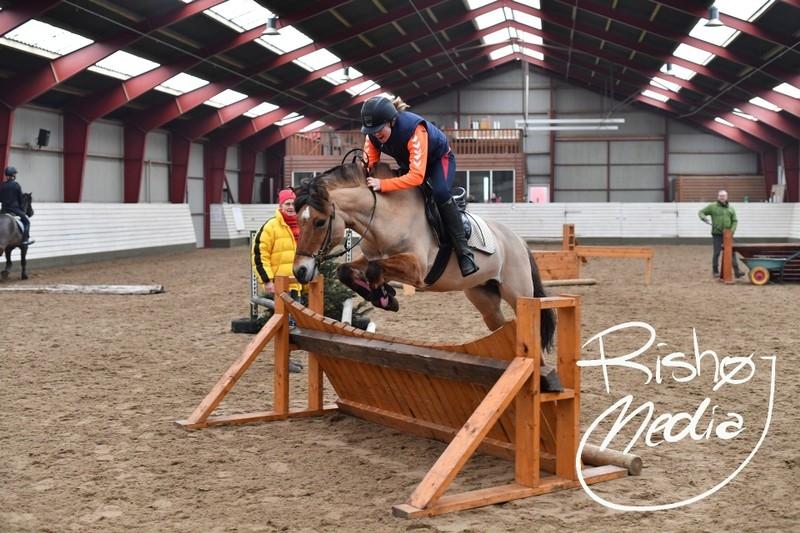 Anden særlig race Tulle p billede 14