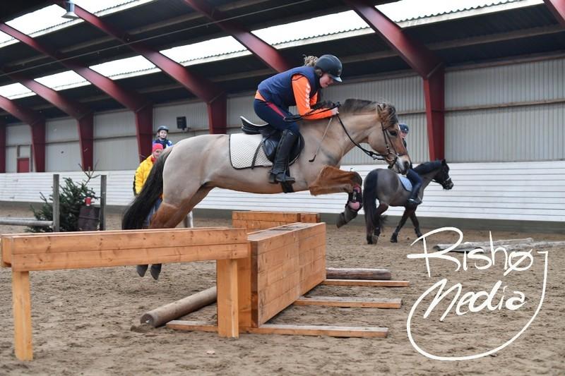 Anden særlig race Tulle p billede 15