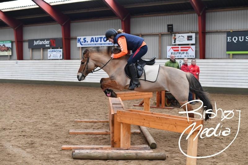 Anden særlig race Tulle p billede 18