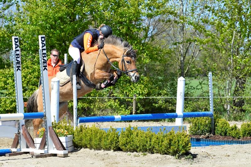 Anden særlig race Tulle p billede 20