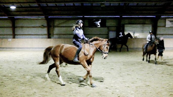 Anden særlig race Sonny Boy billede 14