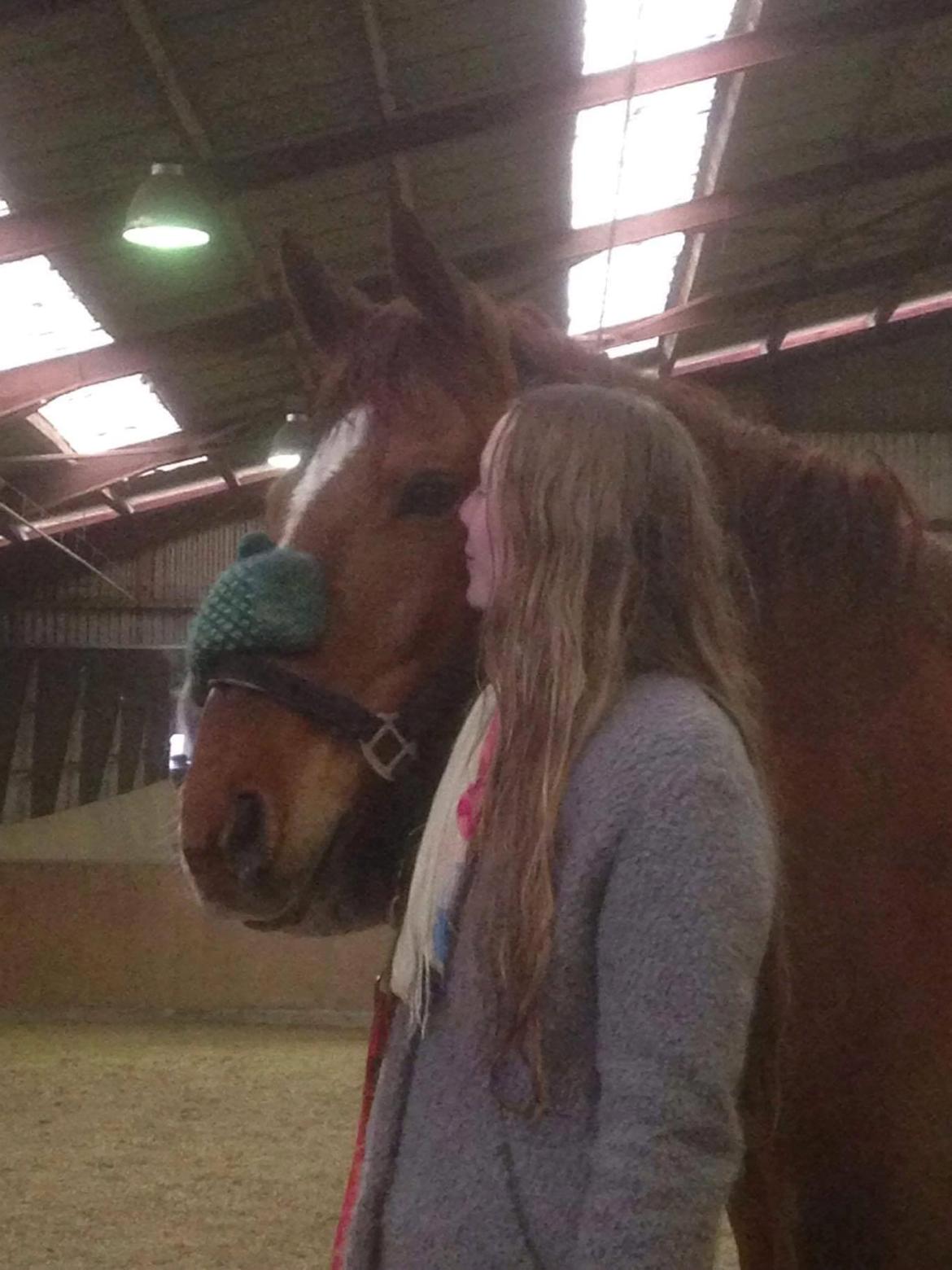 Anden særlig race Sonny Boy billede 16