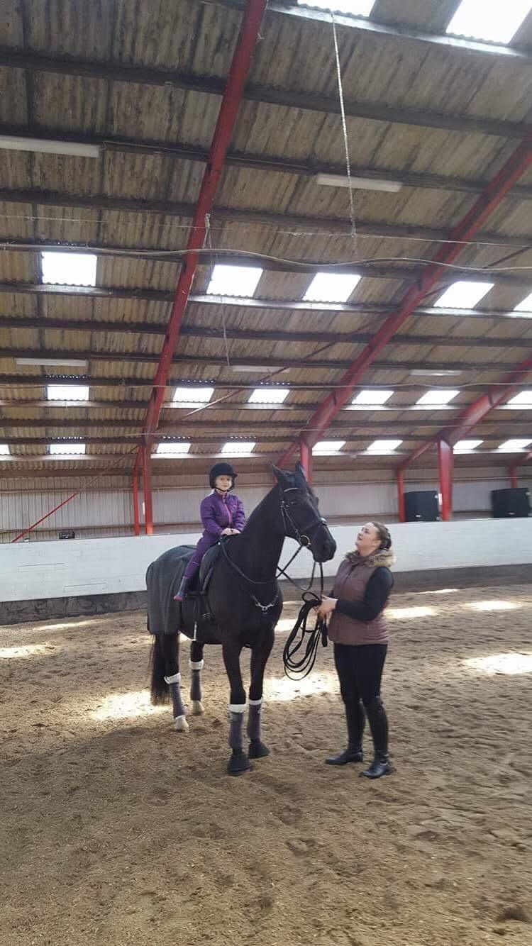 Dansk Varmblod Madeleine billede 17