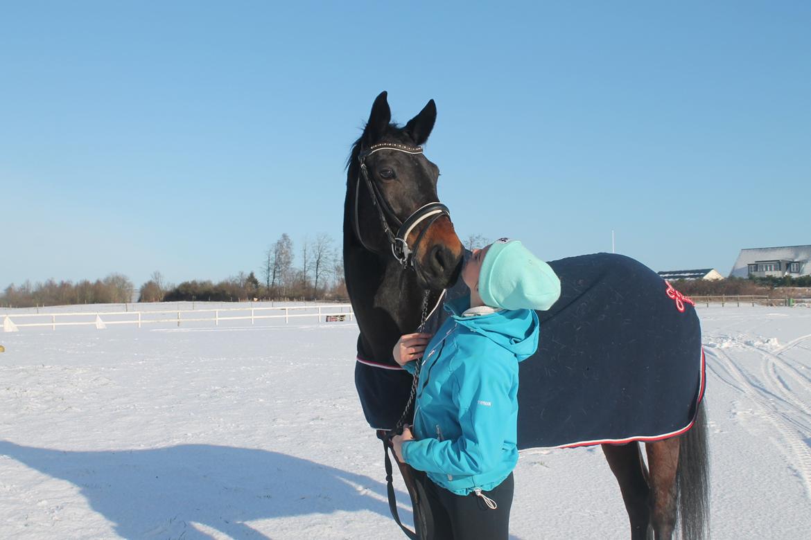 Anden særlig race Nanna Zickora billede 18