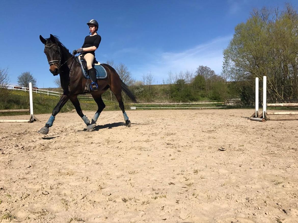 Anden særlig race Nanna Zickora billede 20