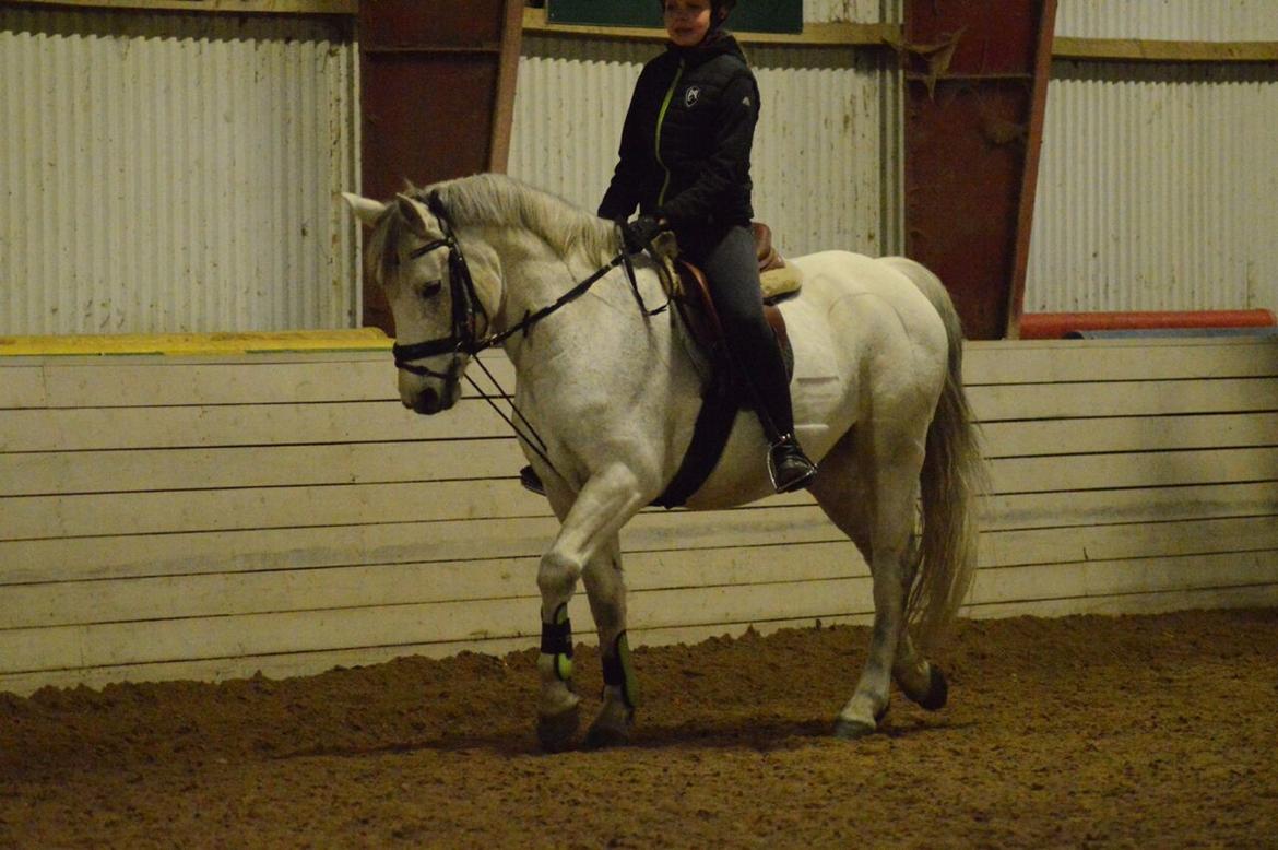 Connemara Stan billede 17