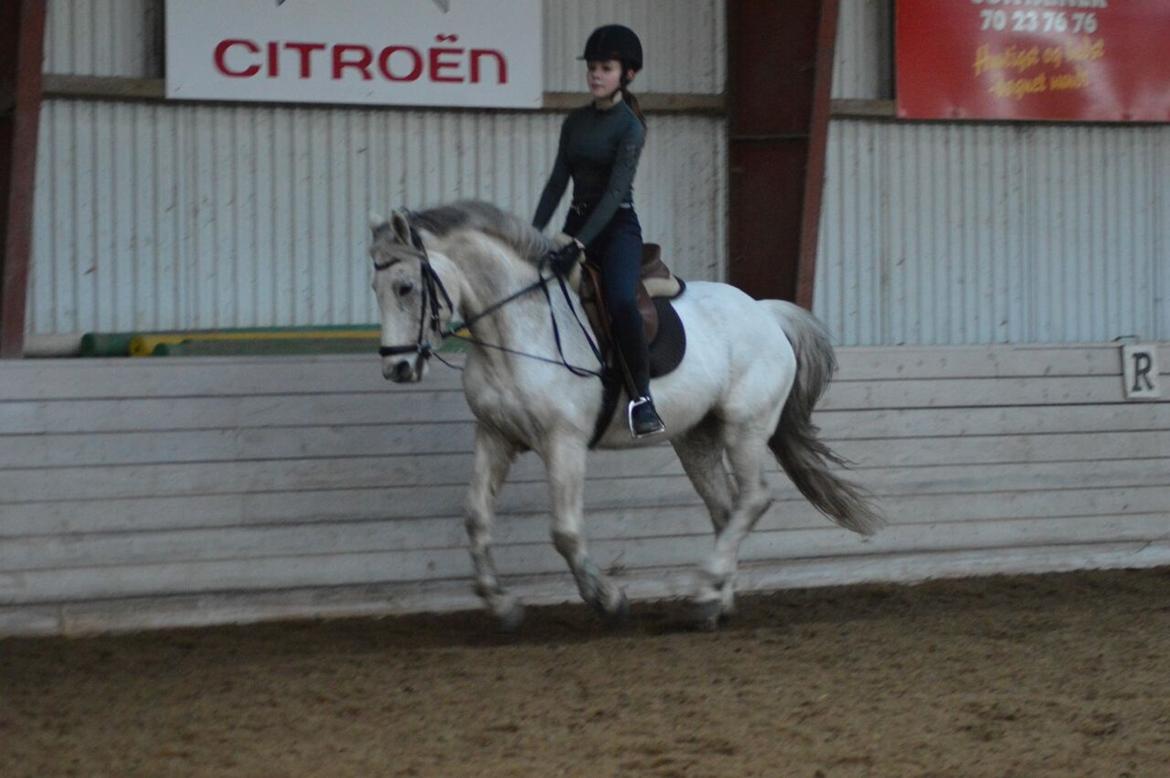 Connemara Stan billede 16