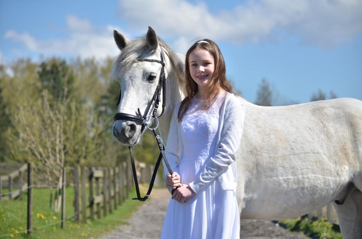 Connemara Stan - *NYT* Konfirmationsshoot d 30.04.2017 billede 18