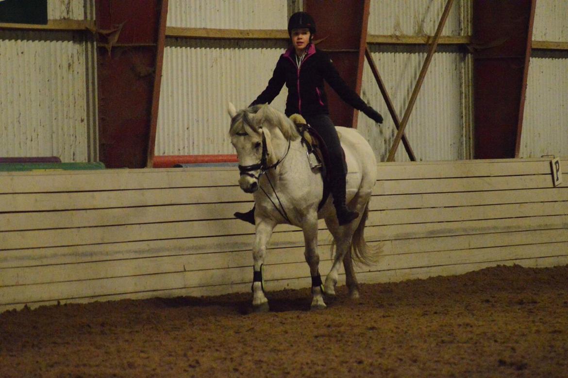 Connemara Stan billede 13