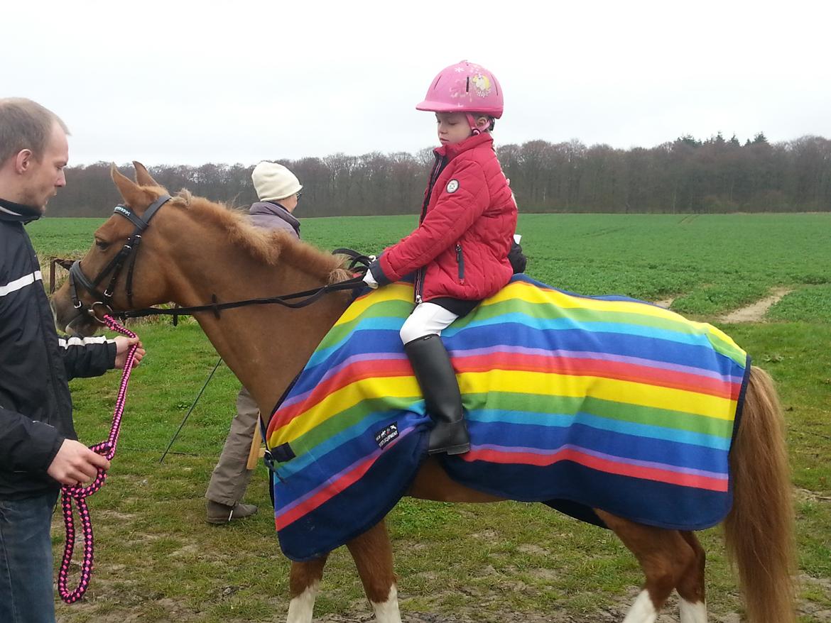 Anden særlig race Jonas billede 3