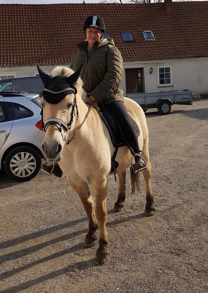 Fjordhest Fiona obkærgård - solgt - første tur i terrænet efter jeg købte hende igen 😊 billede 9