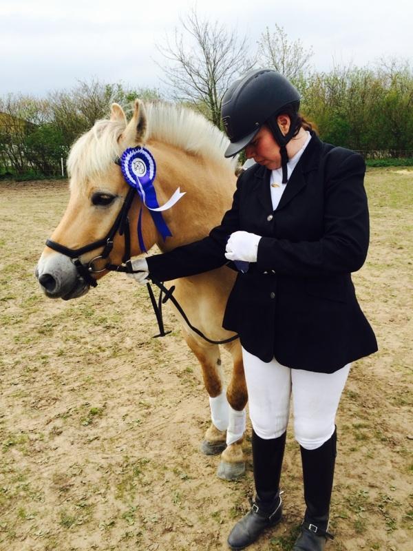 Fjordhest Elvis billede 1