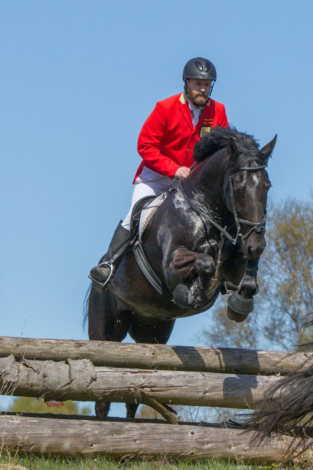 Dansk Varmblod Cheval - JJR Wiffertsholm, Hadsund 2017 billede 11