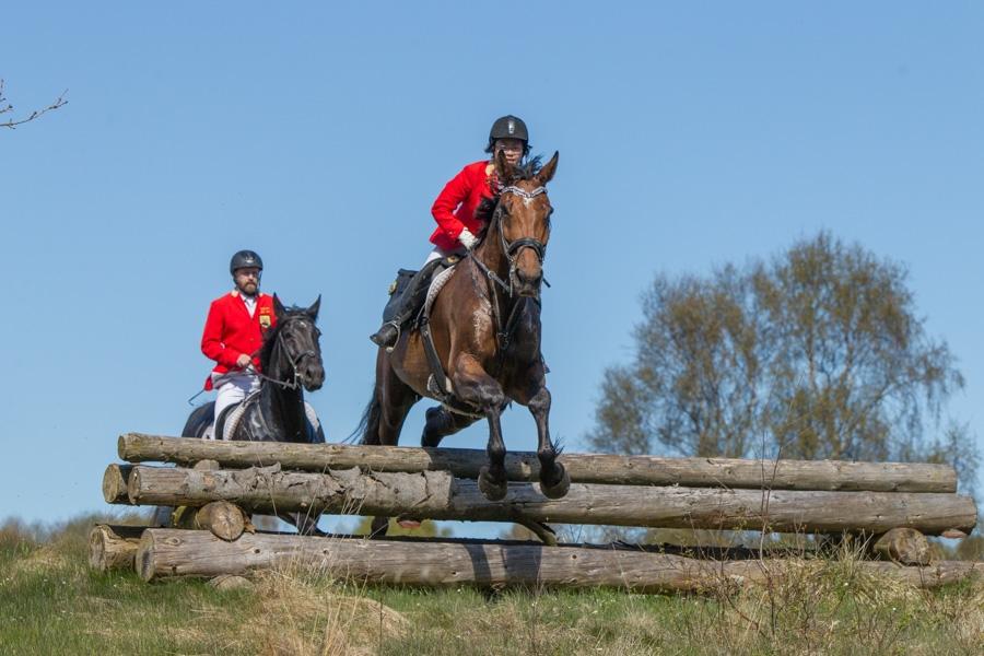 Dansk Varmblod Cheval - JJR Wiffertsholm, Hadsund 2017 billede 9