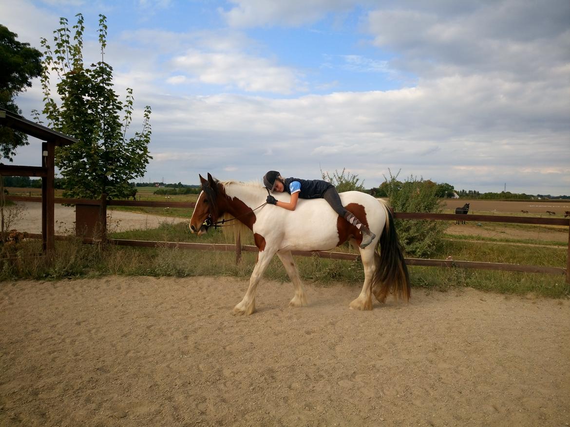 Tinker Satin´s Acacia - Sommer hygge billede 3