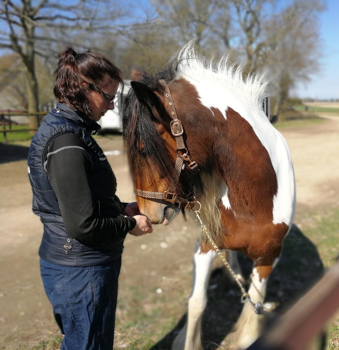 Tinker Satin´s Acacia billede 4