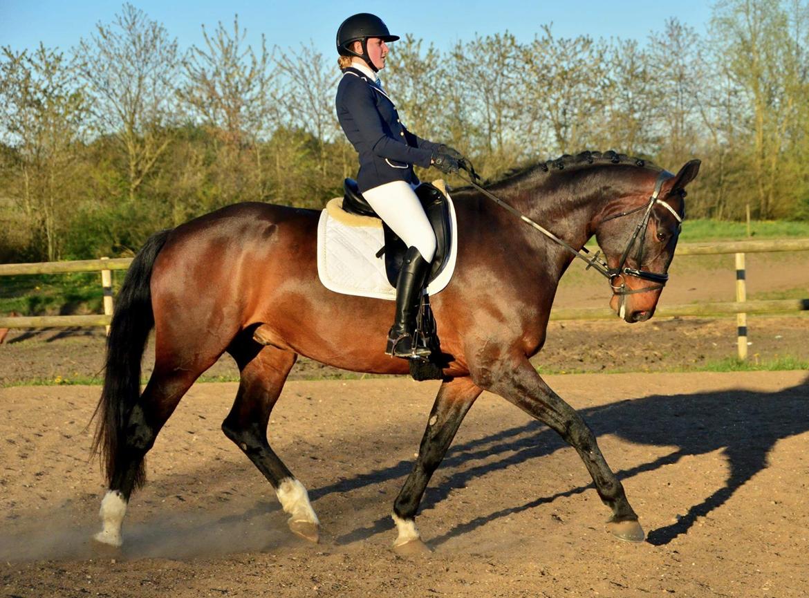 Oldenborg Nobel star billede 3