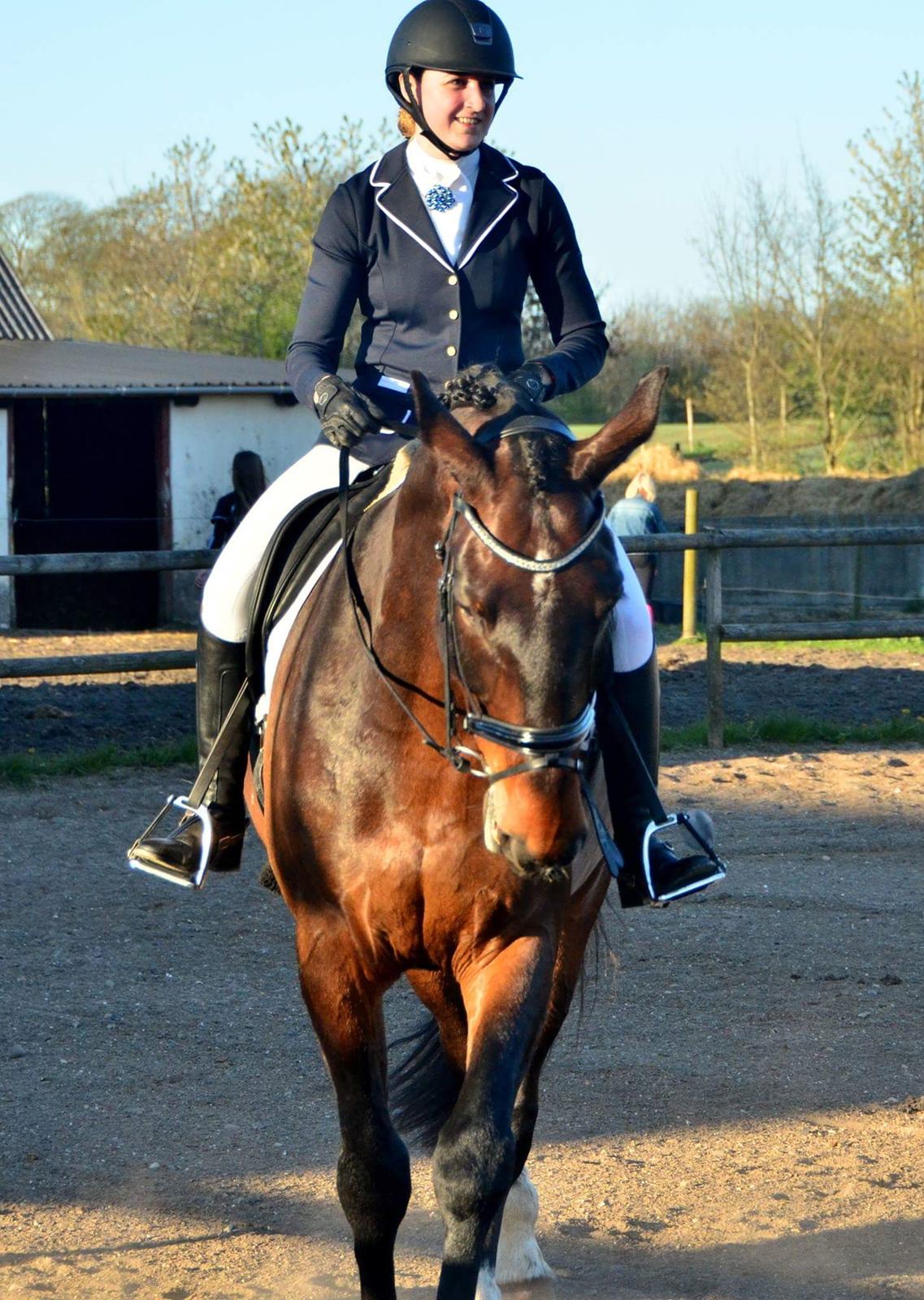 Oldenborg Nobel star billede 4