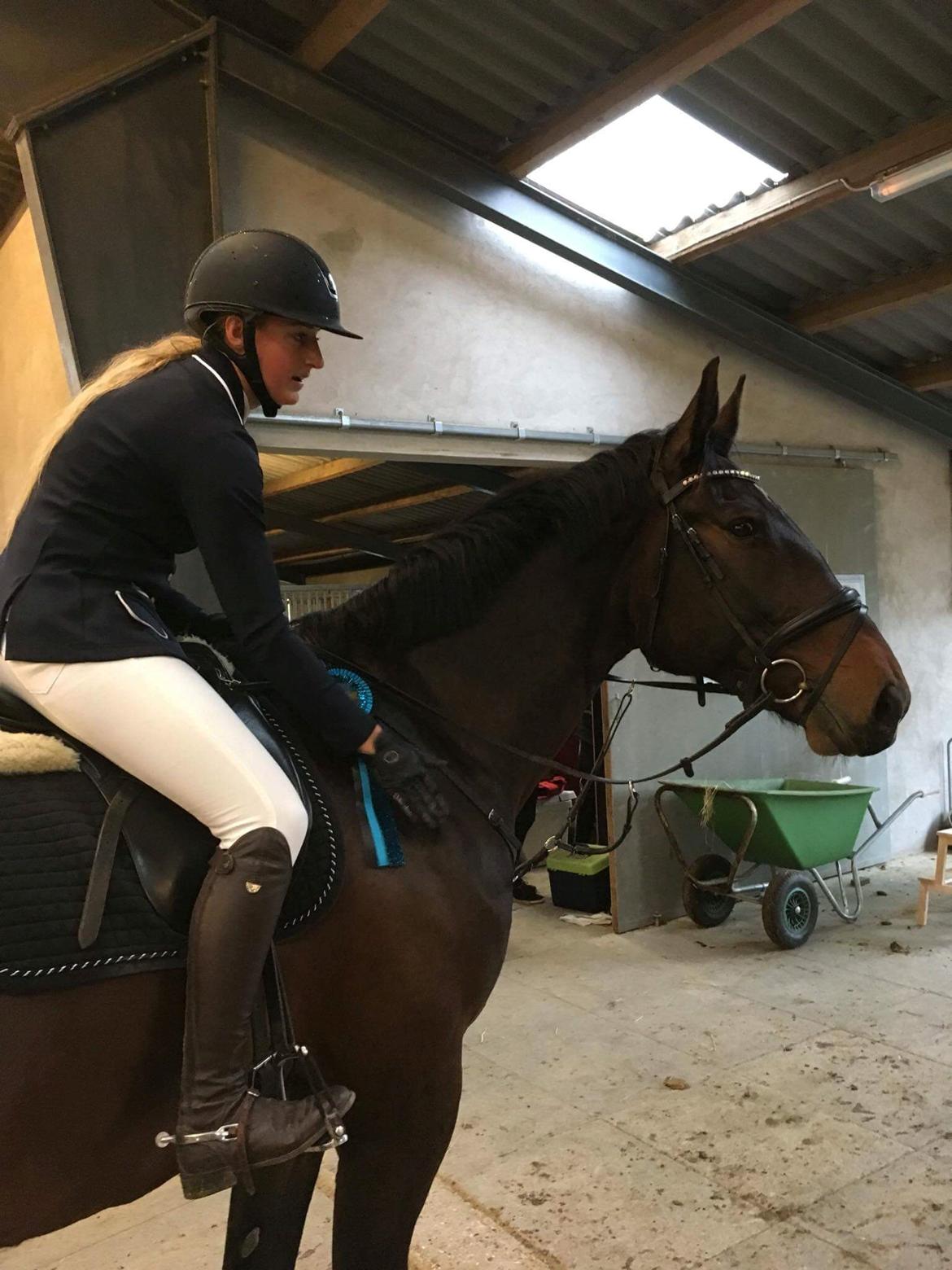 Oldenborg Nobel star billede 17