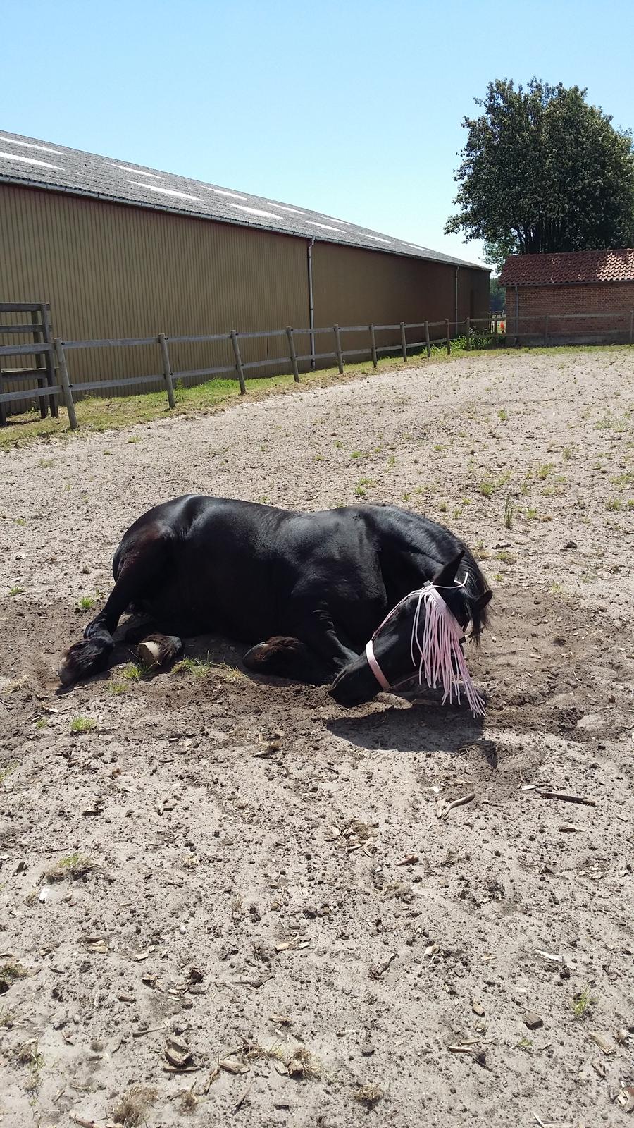 Frieser Thea billede 14